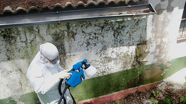 Trusted Mold Testing service in Ottsville, PA - Cheap Mold Removal